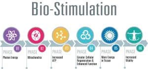 Bio-Stimulation Process